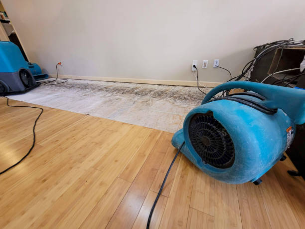 Professional Water Removal technician working in Tremont City, OH